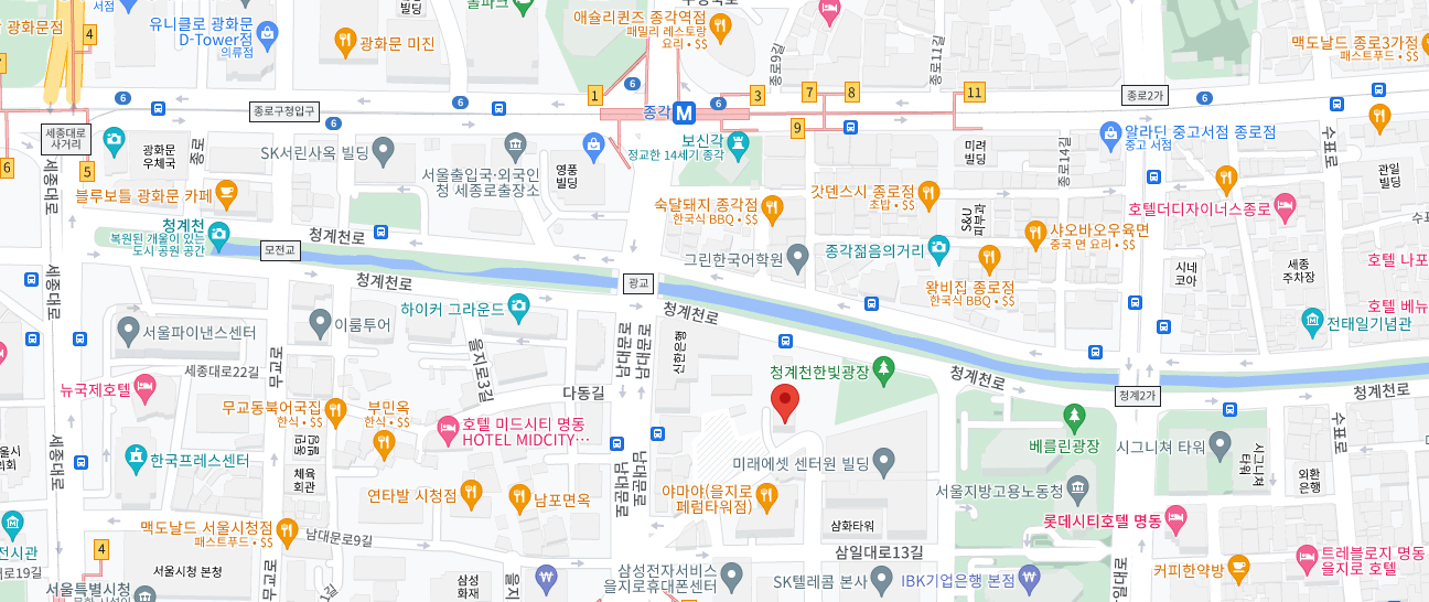 서울특별시 중구 남대문로 10길 29신한은행 백년관 9층